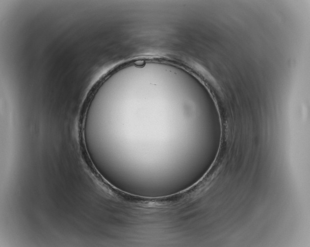 X0000116331412200912011123