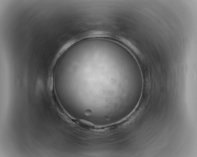 X0000116331413200912011123