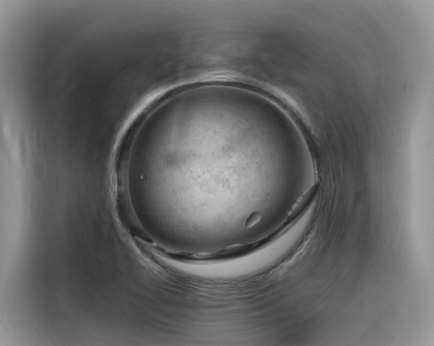 X0000116331414200912011123