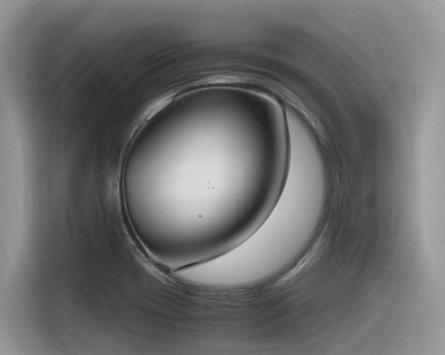 X0000116331417200912011123