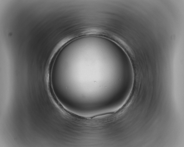 X0000116331418200912011123