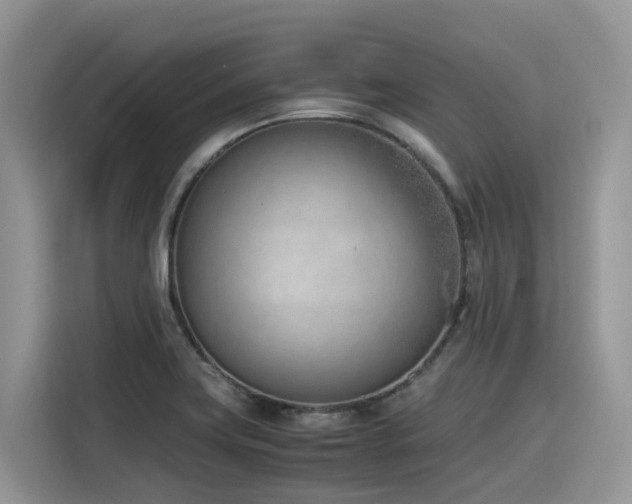 X0000116331419200912011123