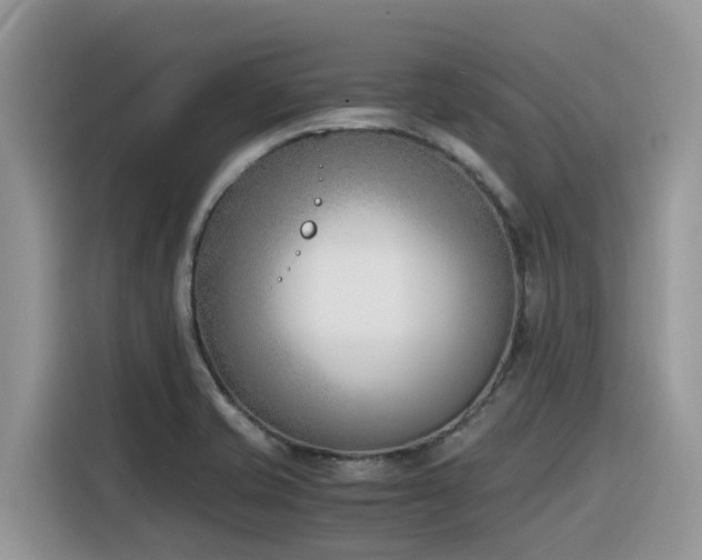 X0000116331421200912011123