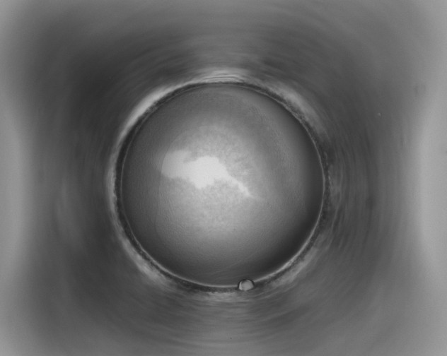 X0000116331422200912011123