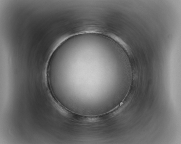 X0000116331423200912011123