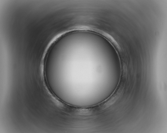 X0000116331424200912011123