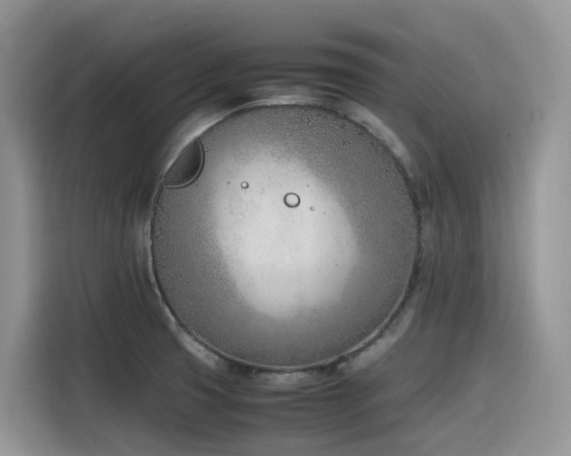 X0000116331425200912011123