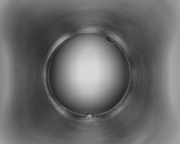 X0000116331426200912011123