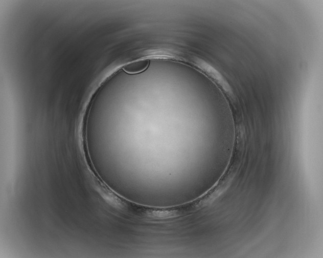 X0000116331427200912011123