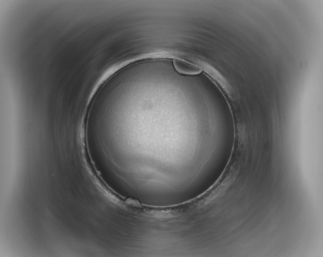X0000116331428200912011123