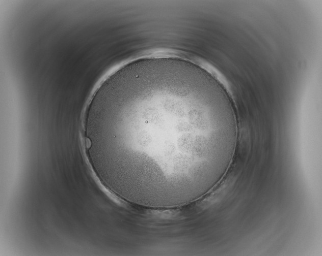 X0000116331429200912011123