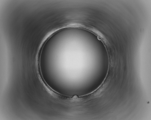 X0000116331430200912011123