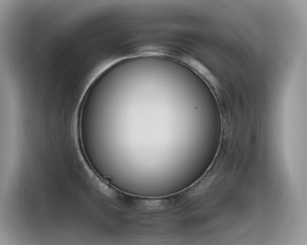 X0000116331431200912011123