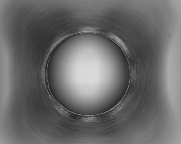 X0000116331435200912011123