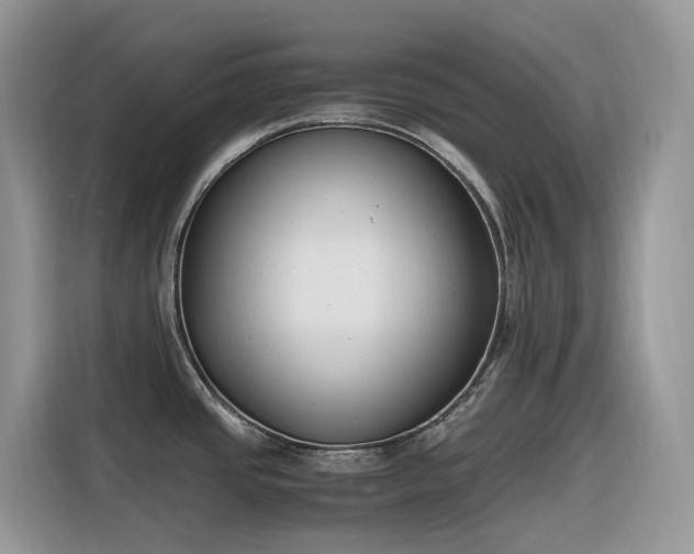 X0000116331437200912011124