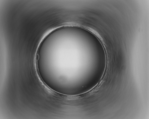 X0000116331440200912011124