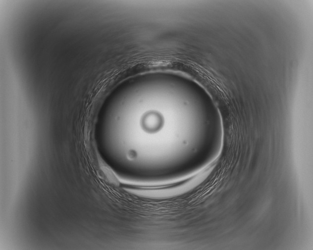 X0000116331441200912011123