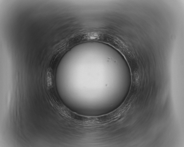 X0000116331442200912011123