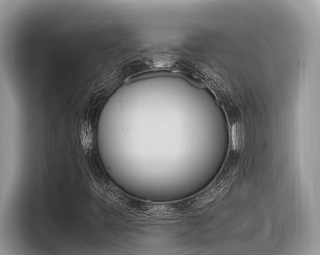 X0000116331443200912011123