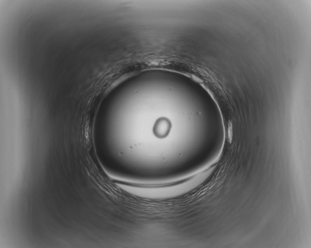X0000116331444200912011123