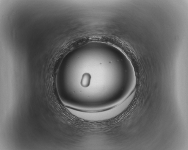X0000116331445200912011123