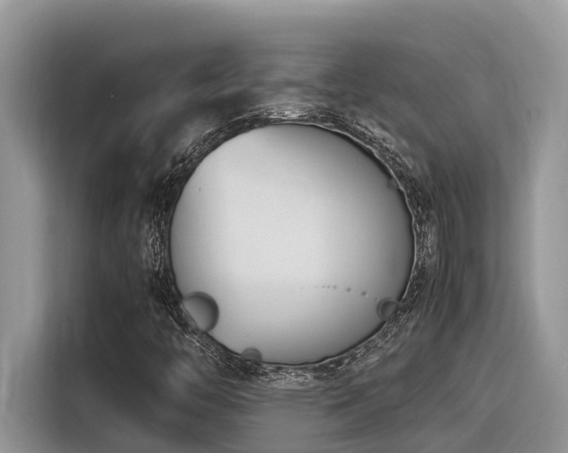 X0000116331446200912011123