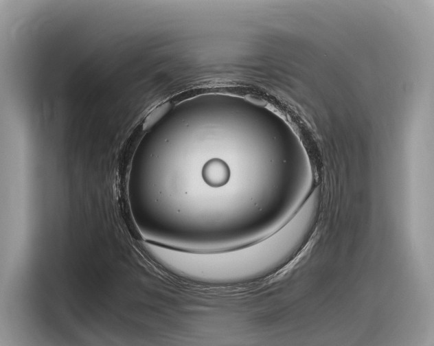 X0000116331449200912011123