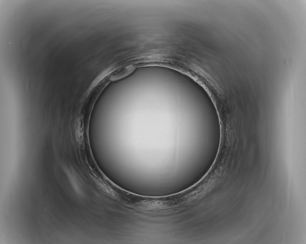 X0000116331450200912011123