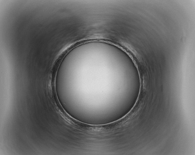 X0000116331452200912011123