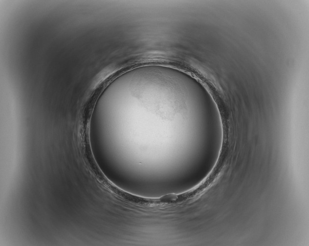 X0000116331453200912011123