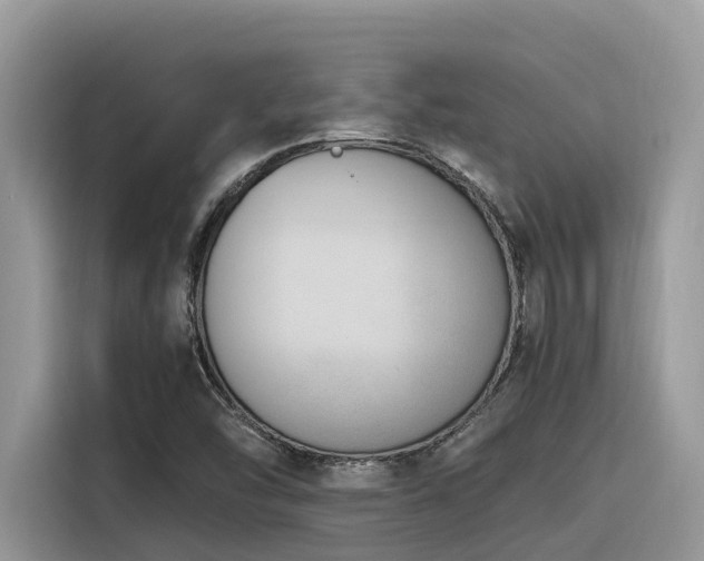 X0000116331454200912011123