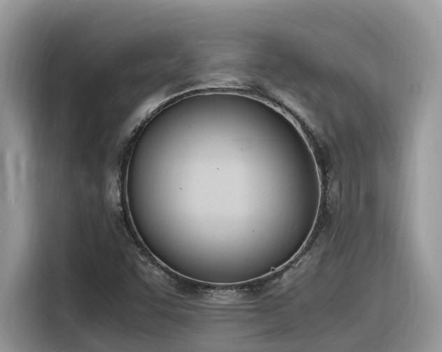 X0000116331455200912011123