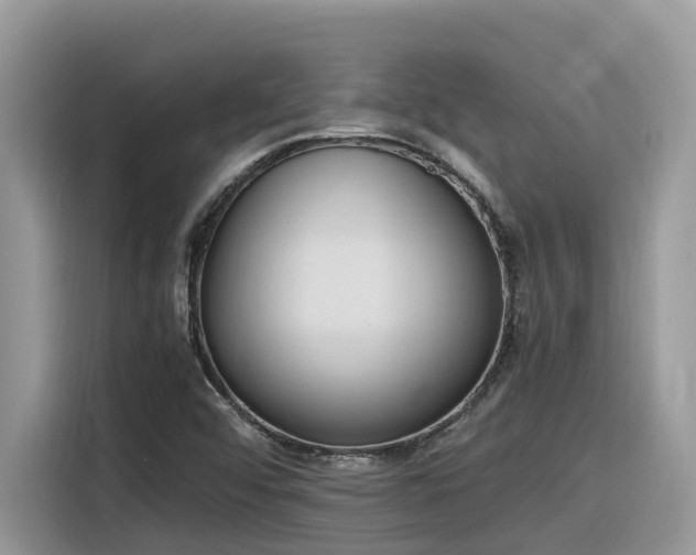 X0000116331456200912011123