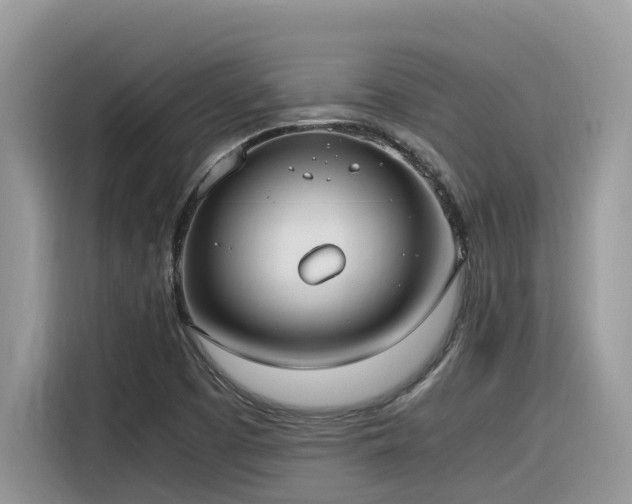 X0000116331457200912011123