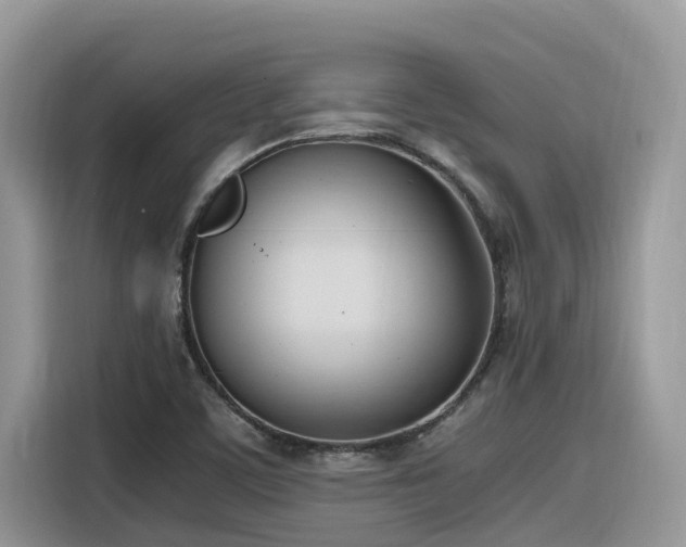 X0000116331459200912011123