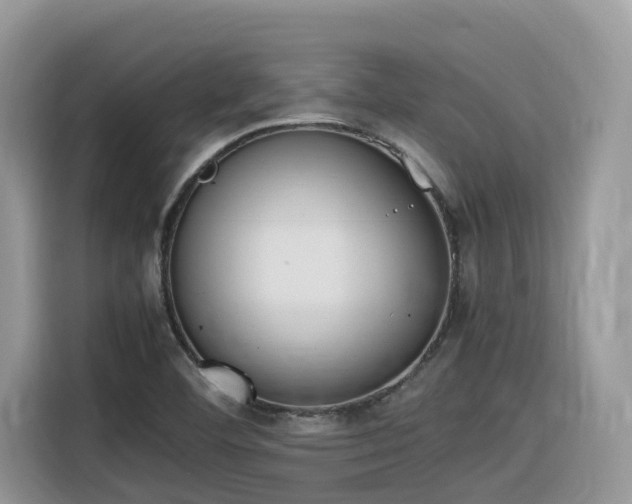X0000116331460200912011123