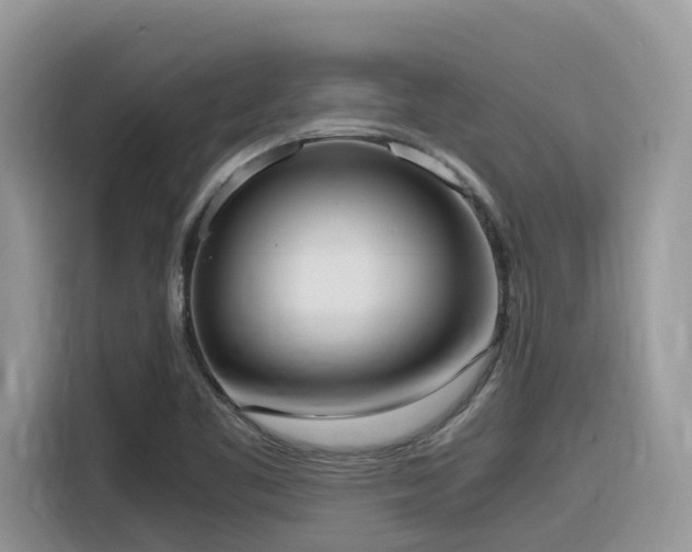 X0000116331461200912011123