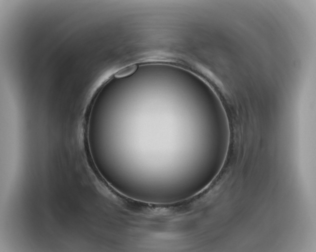 X0000116331463200912011123