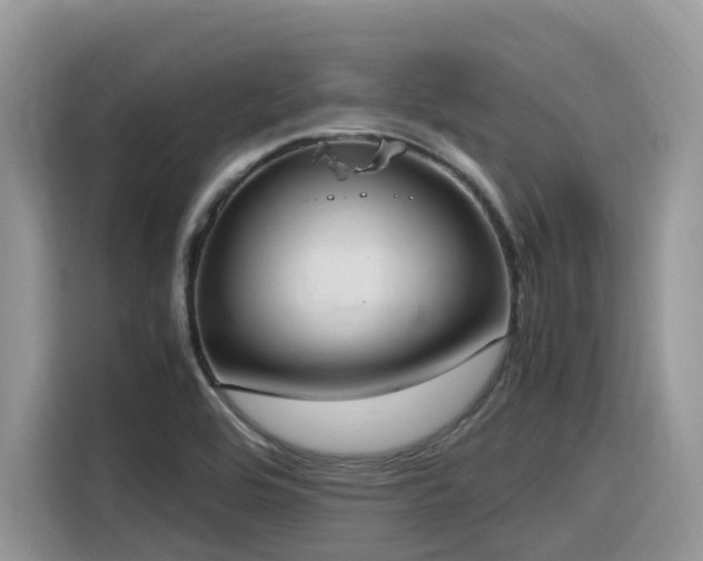 X0000116331464200912011123