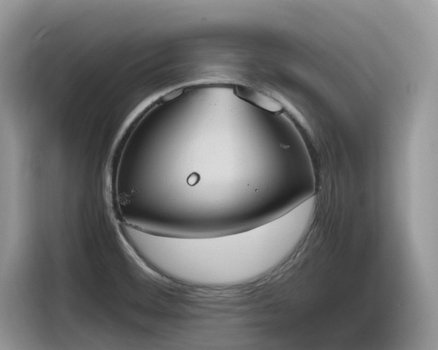 X0000116331468200912011123