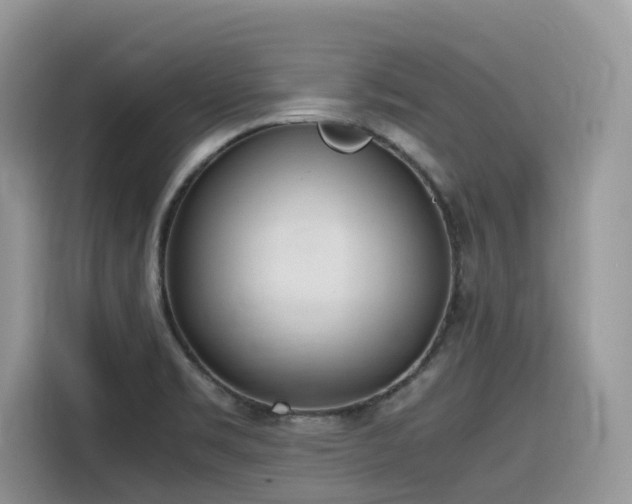 X0000116331469200912011123