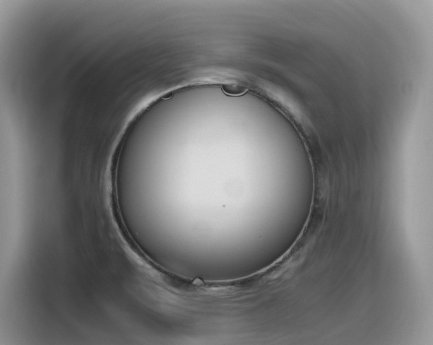 X0000116331471200912011123