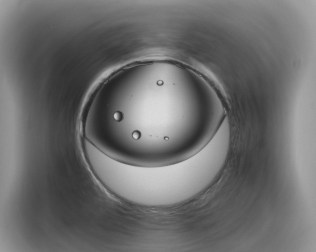X0000116331472200912011123