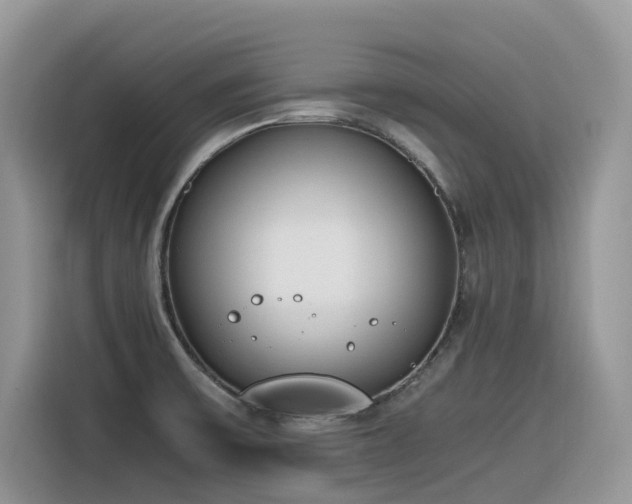 X0000116331475200912011122