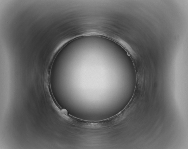 X0000116331476200912011122