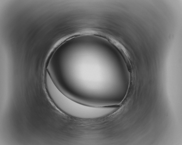 X0000116331477200912011122