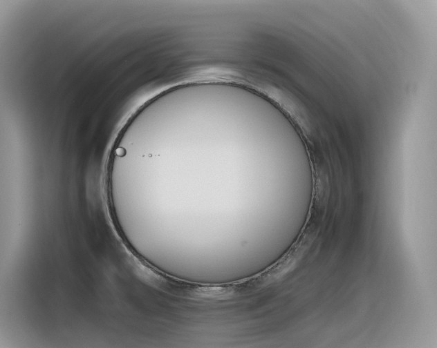 X0000116331478200912011122