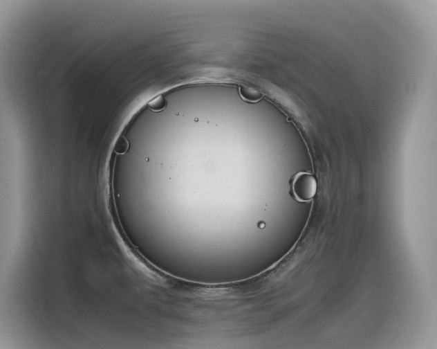 X0000116331479200912011122