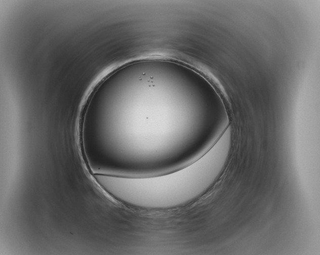 X0000116331480200912011122