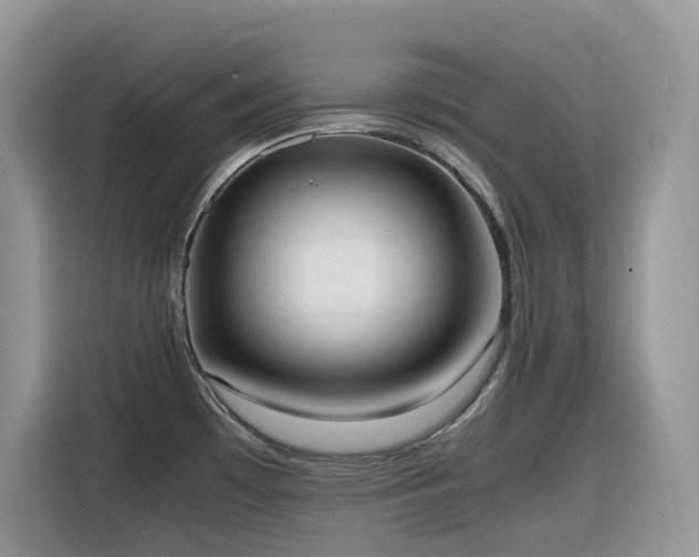 X0000116331481200912011122